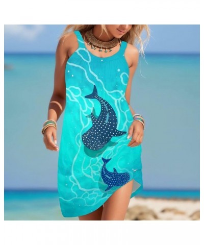 Business Casual Dress Women Summer Beach Dress Sleeveless Funny Colorful Printed Casual Skirt Long Lace Dress for Sky Blue $1...