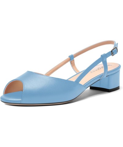 Womens Dress Solid Matte Peep Toe Adjustable Strap Dating Buckle Block Low Heel Pumps Shoes 1.5 Inch Light Blue $35.62 Pumps