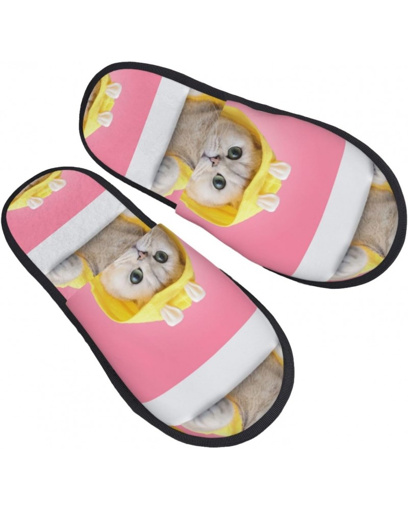 Fuzzy Feet Slippers For Women,House Shoes Non Slip Indoor/Outdoor,A Funny Cat Designs-Medium $11.94 Slippers