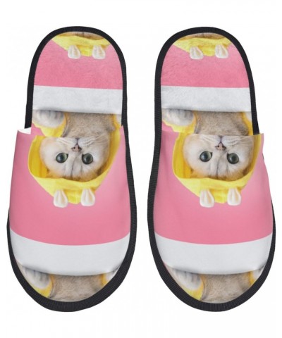 Fuzzy Feet Slippers For Women,House Shoes Non Slip Indoor/Outdoor,A Funny Cat Designs-Medium $11.94 Slippers