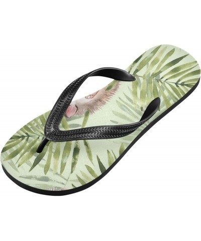 Flip Flops Flip Sandal Home Slippers Hotel Spa Bedroom Travel for Men Women S-XXL Multi 9 $13.68 Slippers